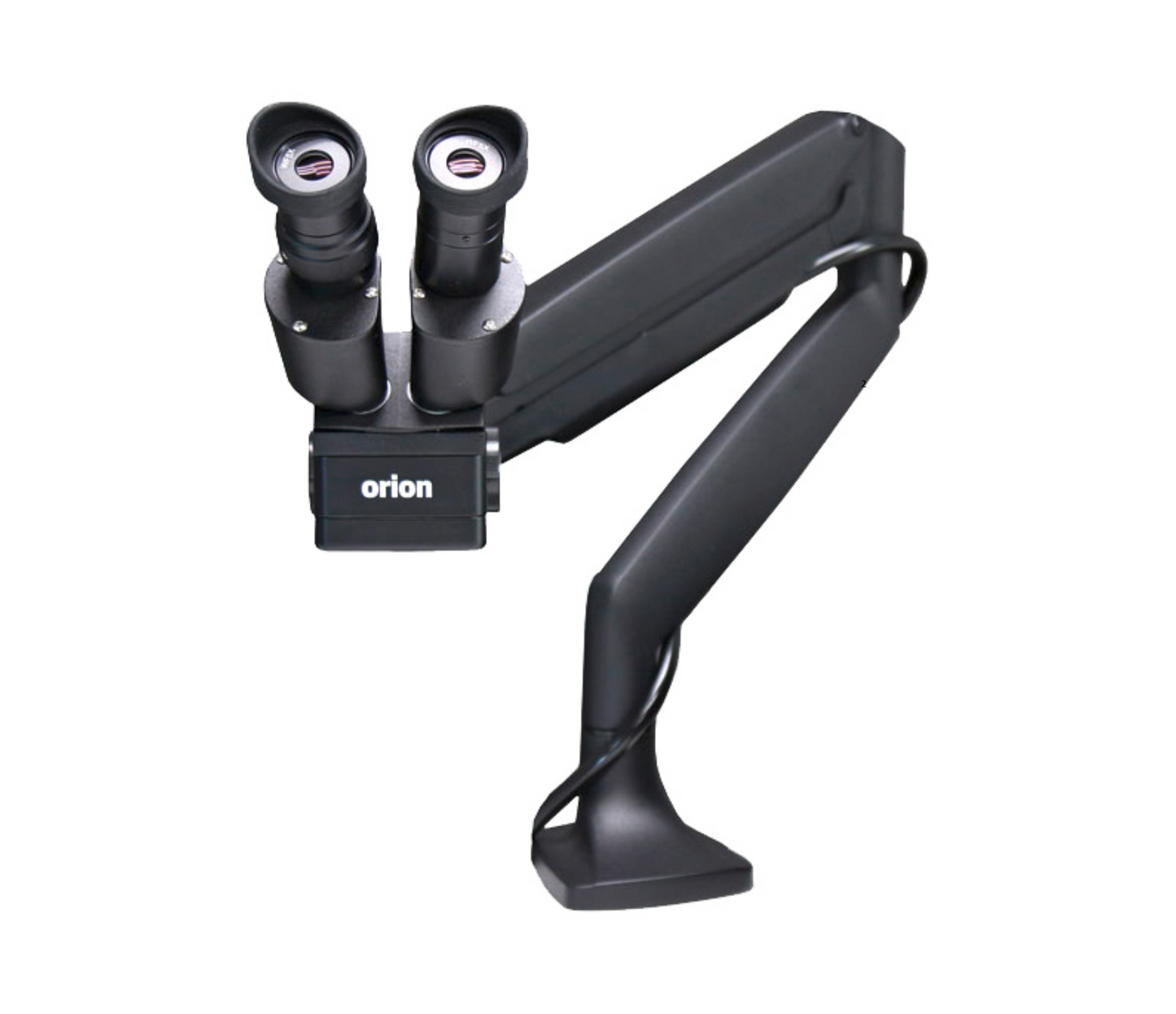 Orion Arm Microscope